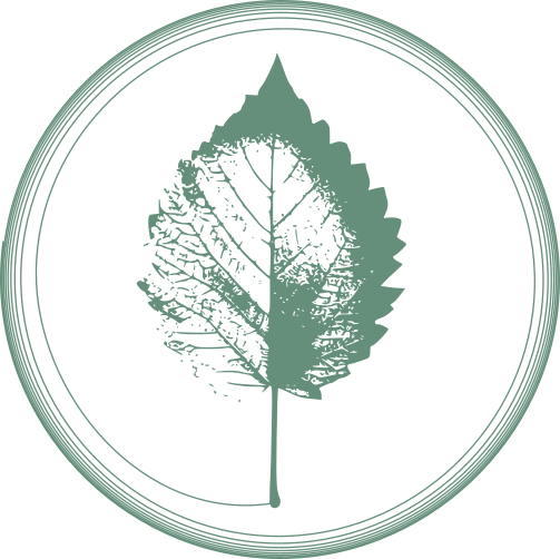 leaf_logo_cambridgeblue_lg_nobg GSH logo - leaf inside spiral symbolizing the interconnecteness of all things.